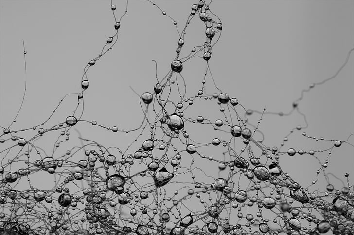 grayscale photography of water dews