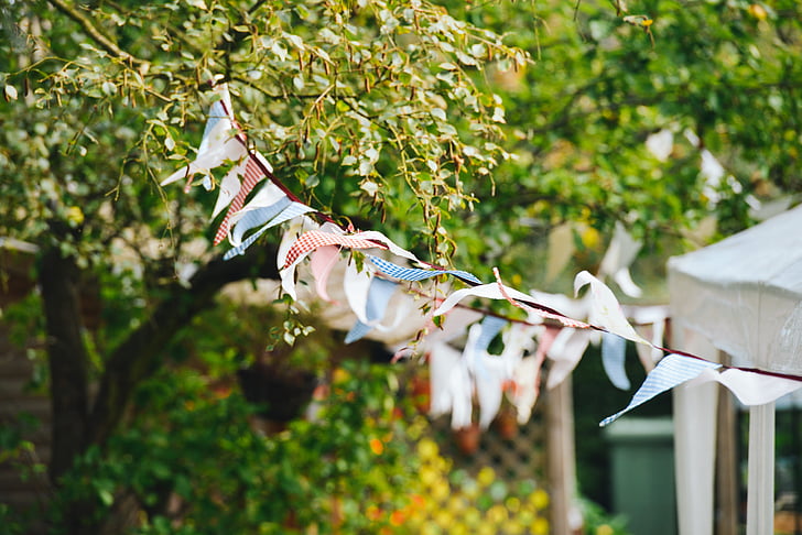 tilt shift lens photography of white and blue bunting during daytime