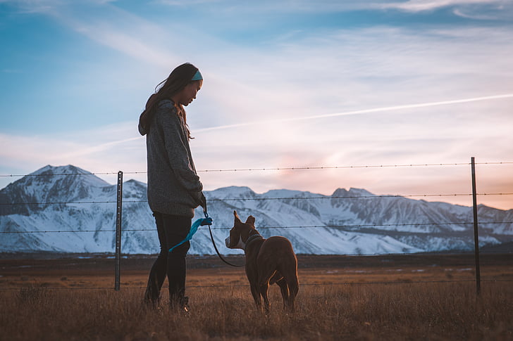 woman in gray hoodie holding brown dog overlooking rocky mountains