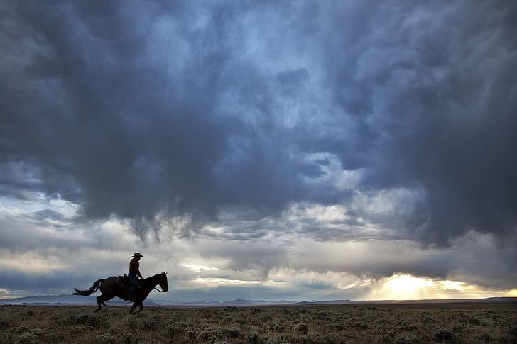 silhouette of person riding horse under cloudy sky during daytime
