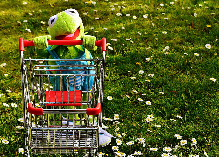 Kermit the frog holding shopping cart