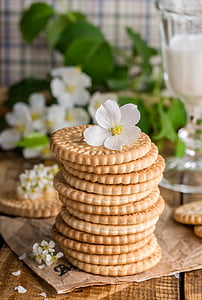 white petaled flower on top of biscuits