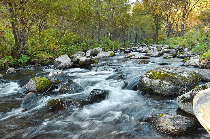 time lapse photography of flowing water surrounded with trees