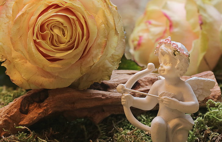 close-up photography of cherub holding arrow figurine beside yellow rose flower