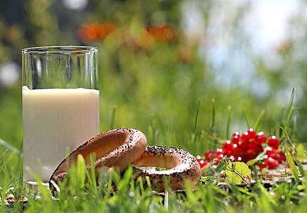 photo of doughnuts and milk on top of green grass during daytime