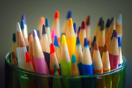 closeup photo of assorted-color of coloring pencils