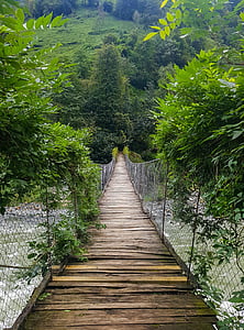 bridge near trees during daytime