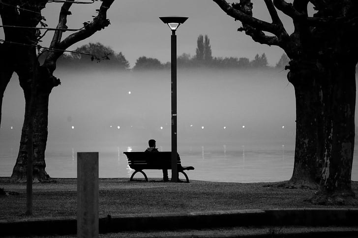 person sitting on bench near trees facing body of water