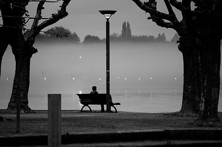 person sitting on bench near trees facing body of water