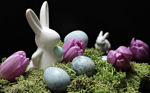 white rabbit and egg illustration