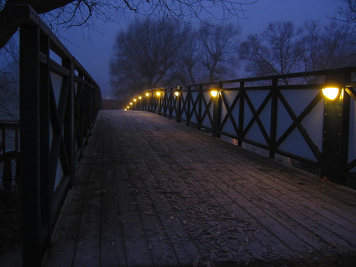 brown and black wooden bridge during nighttime