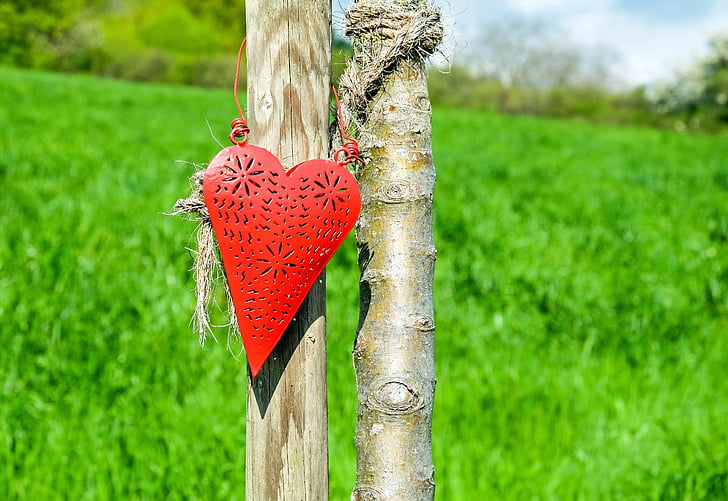 red heart hanging decor on brown tree