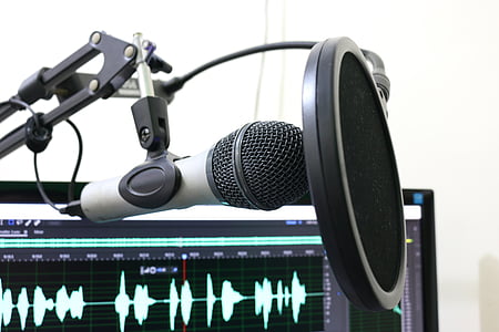 black pop filter and gray standard microphone