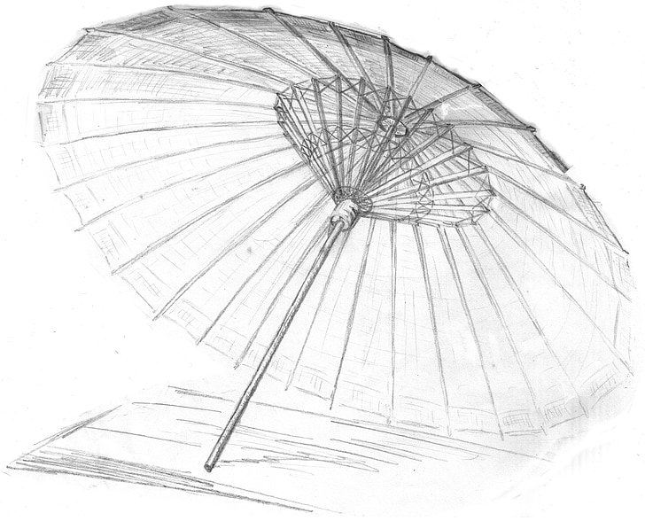 umbrella illustration