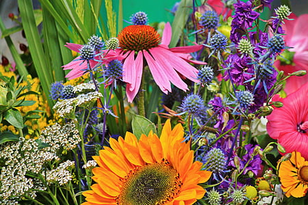 assorted flowers in close up photography