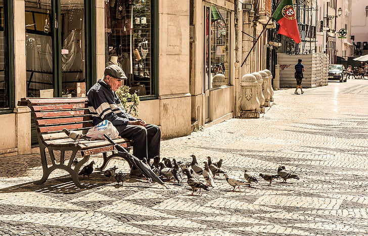 man sitting at bench surrounded by pigeons