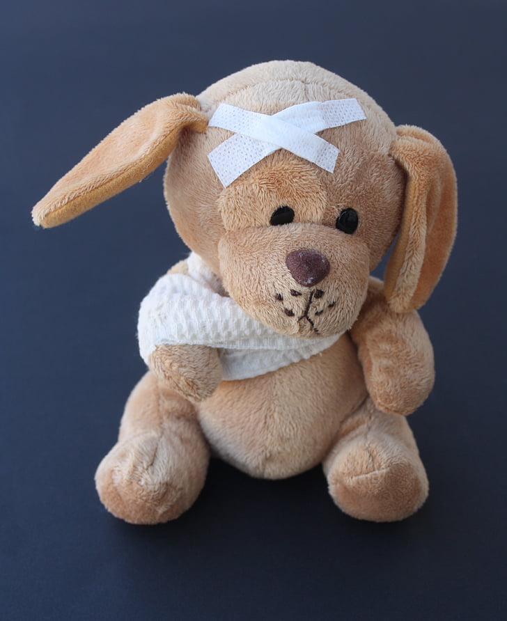 brown puppy with bandage plush toy