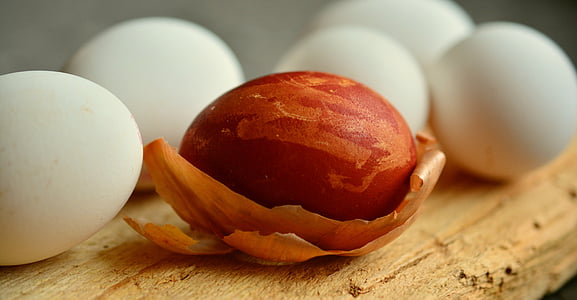 brown nut beside five white eggs