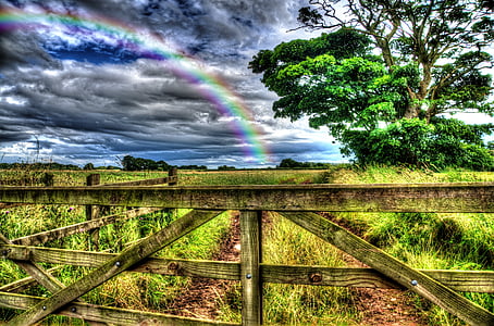 green grass field with rainbow under blue cloudy sky