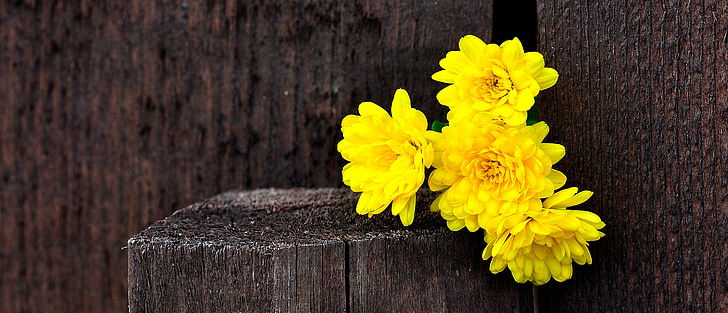 yellow mums flower arrangement