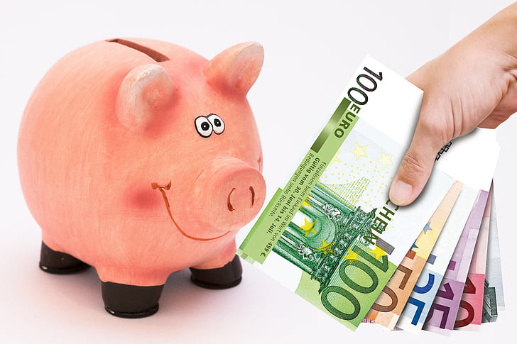 person holding fan of euro banknotes and pig coin bank