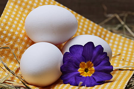 three white eggs on yellow and white checkered textile
