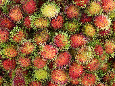 closeup photography of ripe rambutan fruits