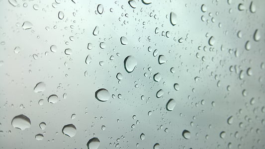 rain, water drops, rain drops, rainy day, rain background, nature