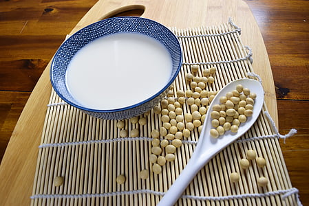 spoon of soya bean near blue bowl