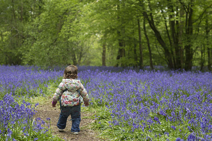 toddler surrounded by bed of lavender flowers