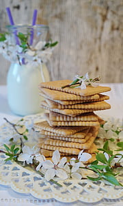 rectangular biscuits surrounded by white 5-petal flowers