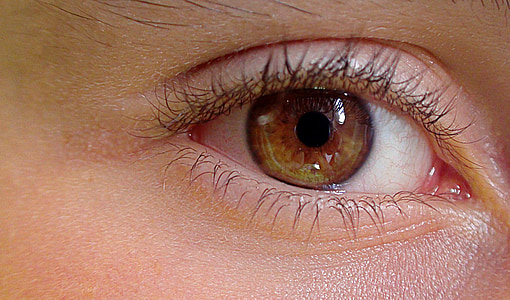 close up photograph of human eye
