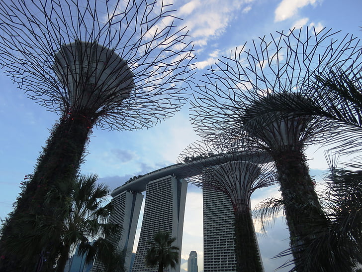 Supertree Grove, Garden by the Bay, Singapore