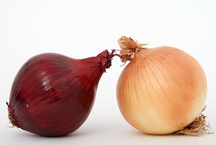two red and white onion bulbs with white background