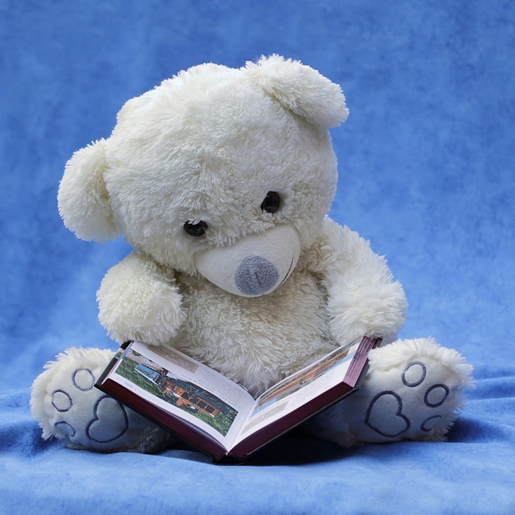 white teddy bear with brown book