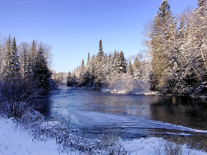 flowing water near trees during winter