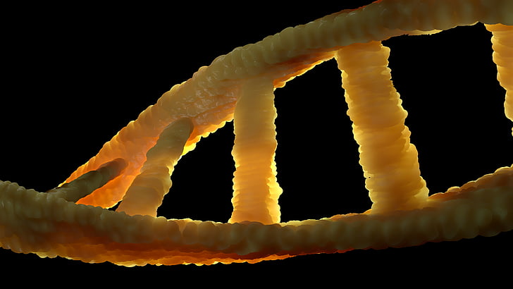 macro photography of DNA
