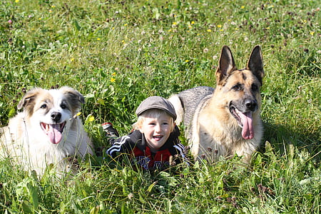 kid lying on grass with two dogs