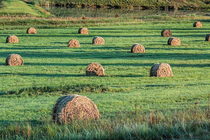 roll of hays on green grass field