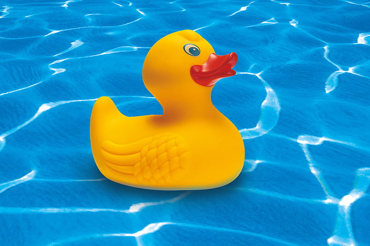 yellow rubber ducky in water