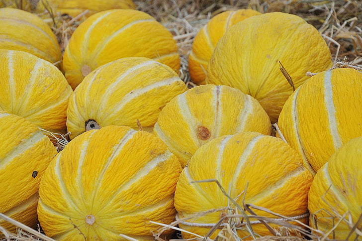 yellow and white fruits