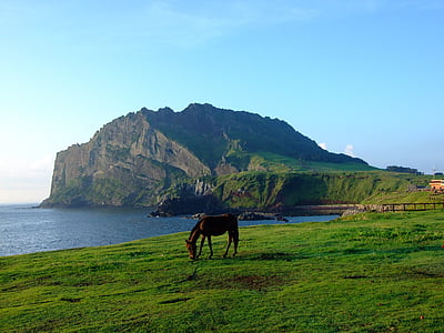 brown horse on grass field near body of water