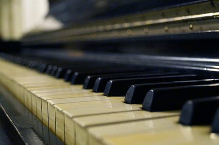 macro photography of white piano keys