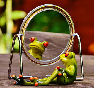 green frog looking in the mirror