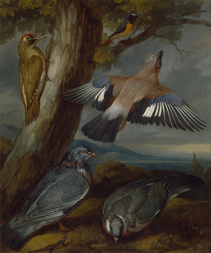 five birds painting