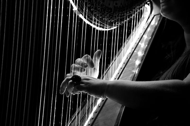 grayscale photo of person playing harp