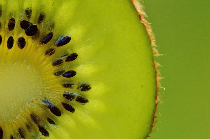 macro photography of sliced green fruit