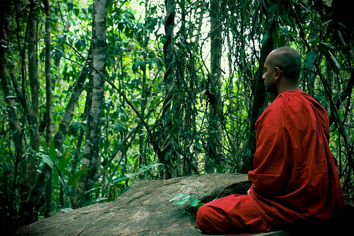 man in red suit meditating surrounded with trees