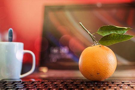shallow focus photography of orange citrus fruit