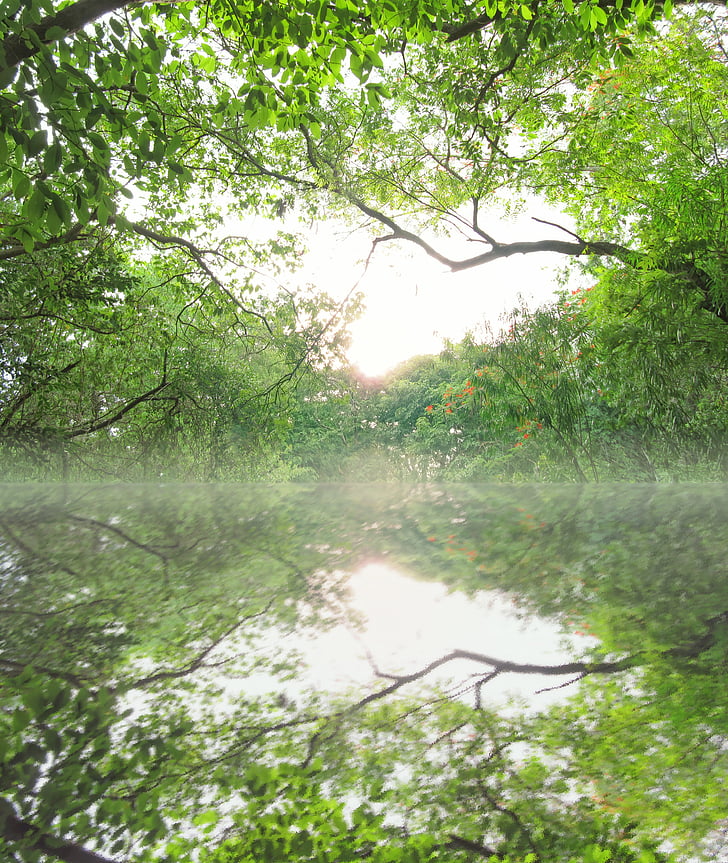 landscape photography of body of water surrounded by trees with water reflection